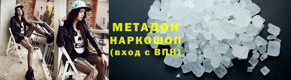индика Няндома