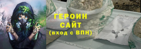 индика Няндома