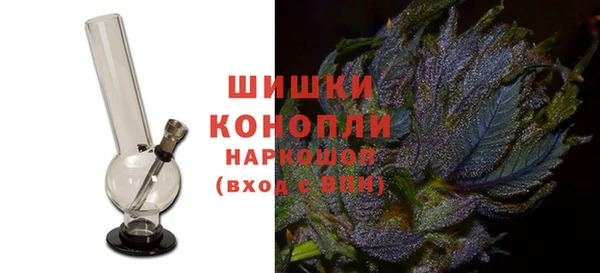 прущие грибы Нязепетровск