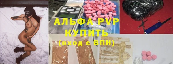 амф Новокубанск