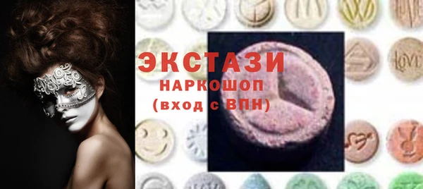 индика Няндома
