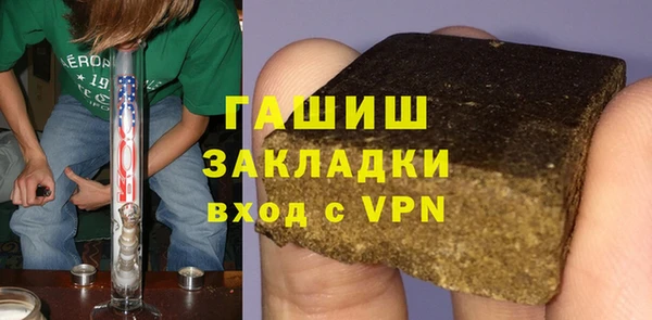 индика Няндома