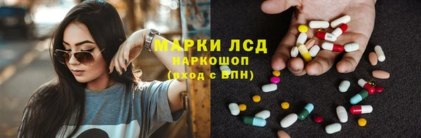 индика Няндома