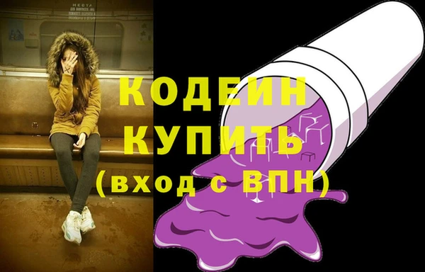 индика Няндома