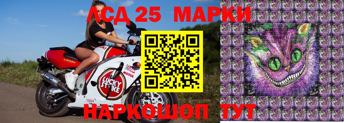 где можно купить   Вход с VPN  Лесозаводск  Марки 25I-NBOMe 1,5мг  Марки 25I-NBOMe 1,5мг 