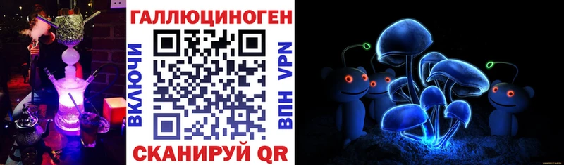 Псилоцибиновые грибы Psilocybe  Лесозаводск 