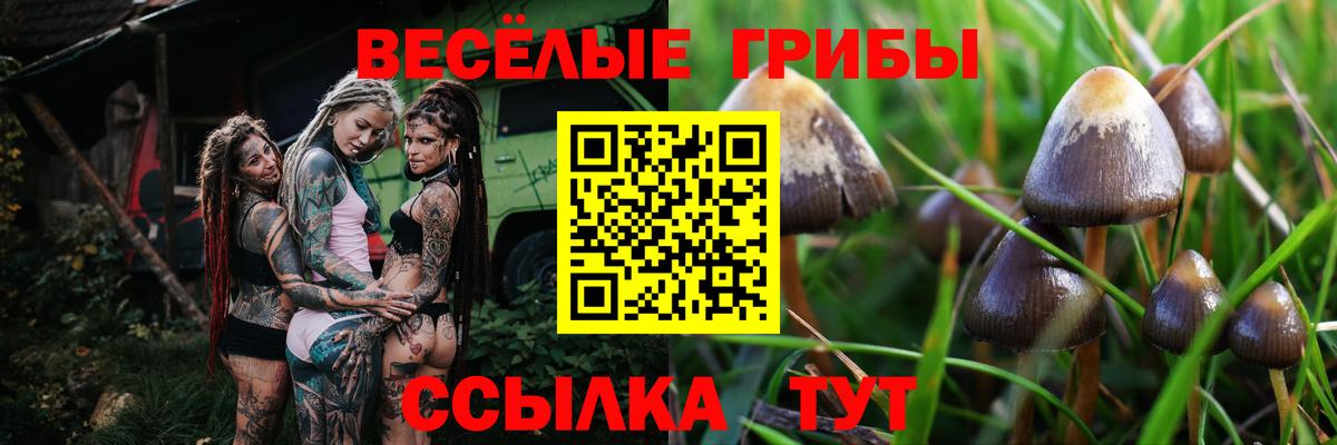 Лесозаводск  Псилоцибиновые грибы ЛСД  Вход с VPN 